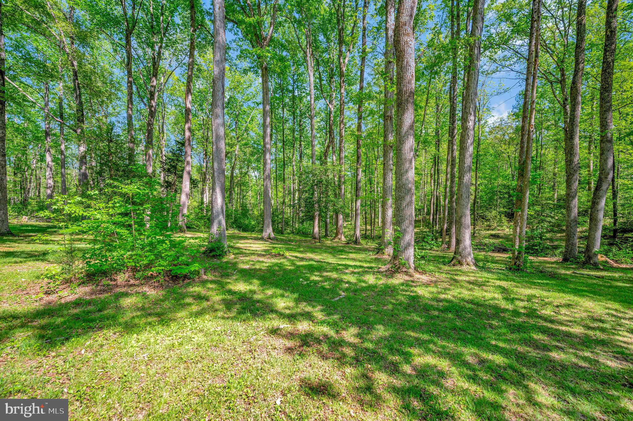 10231 Shawnee Ln