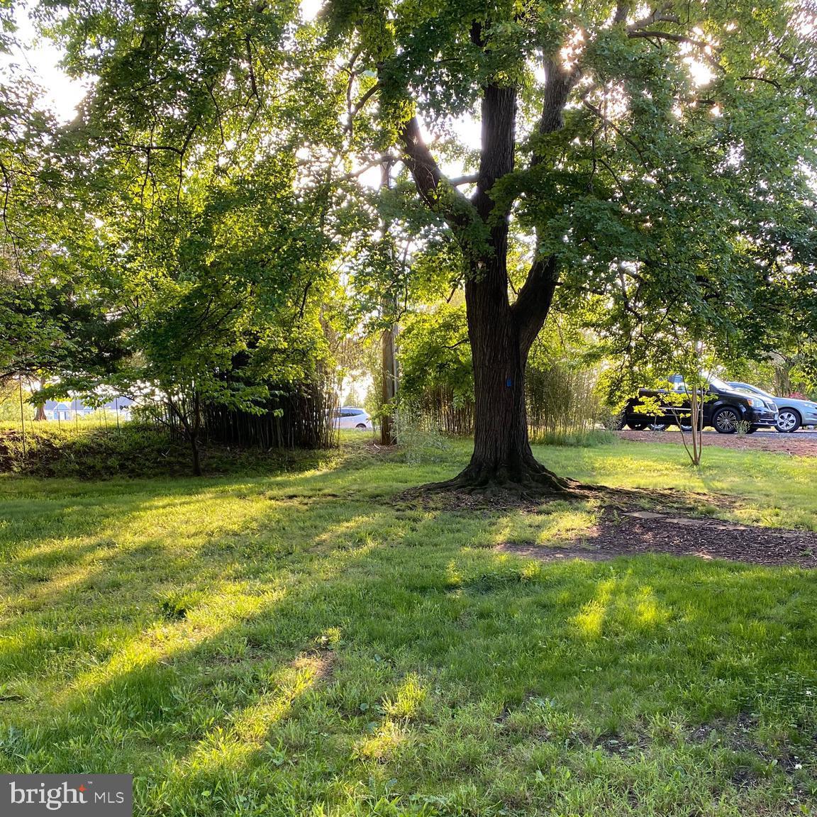 11900 N Dickinson Dr