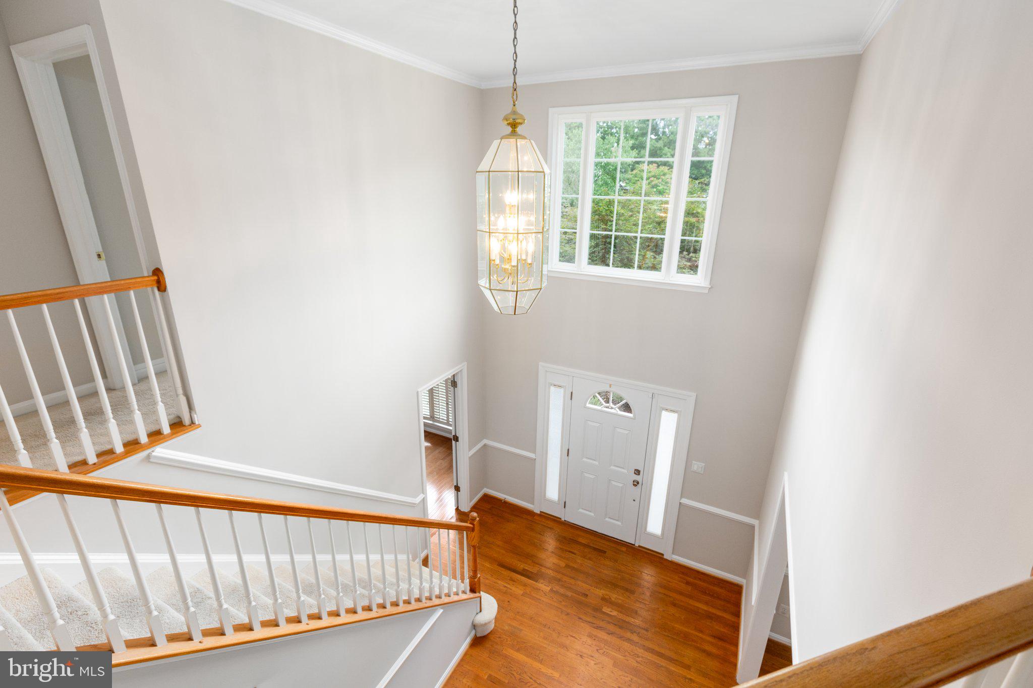 11702 Talbot Ct