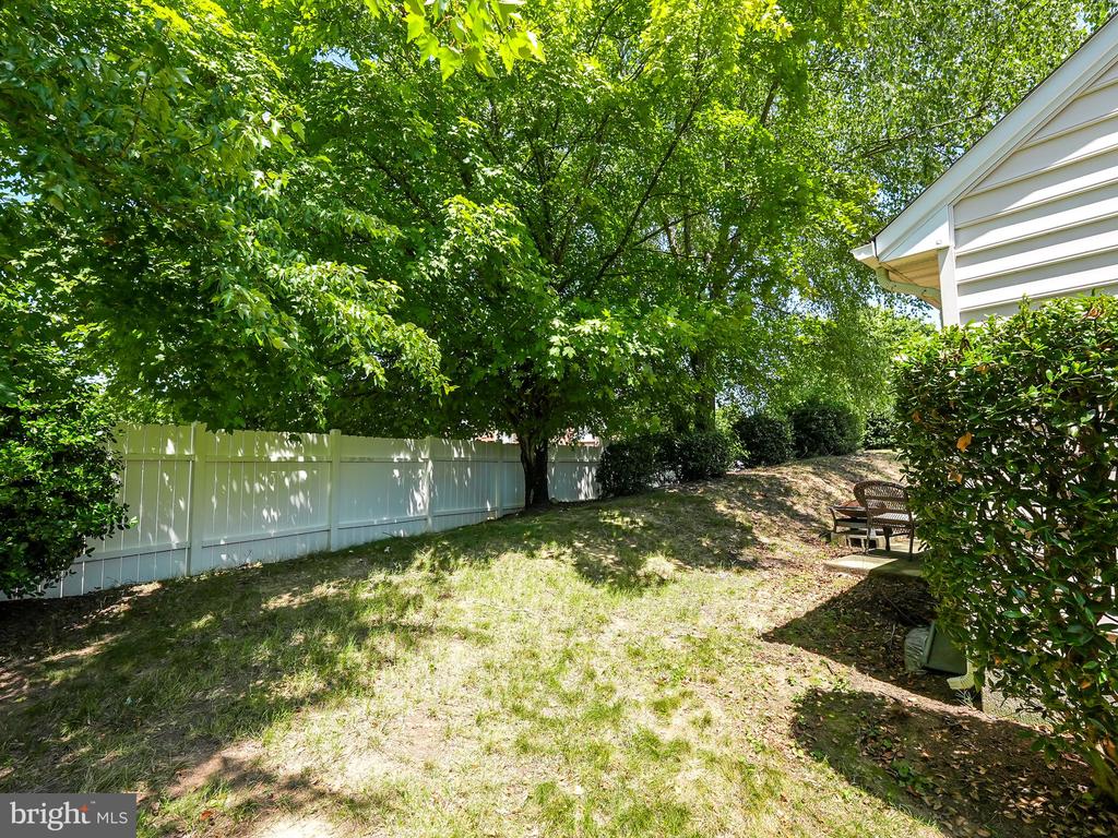 11700 Collinwood Ct