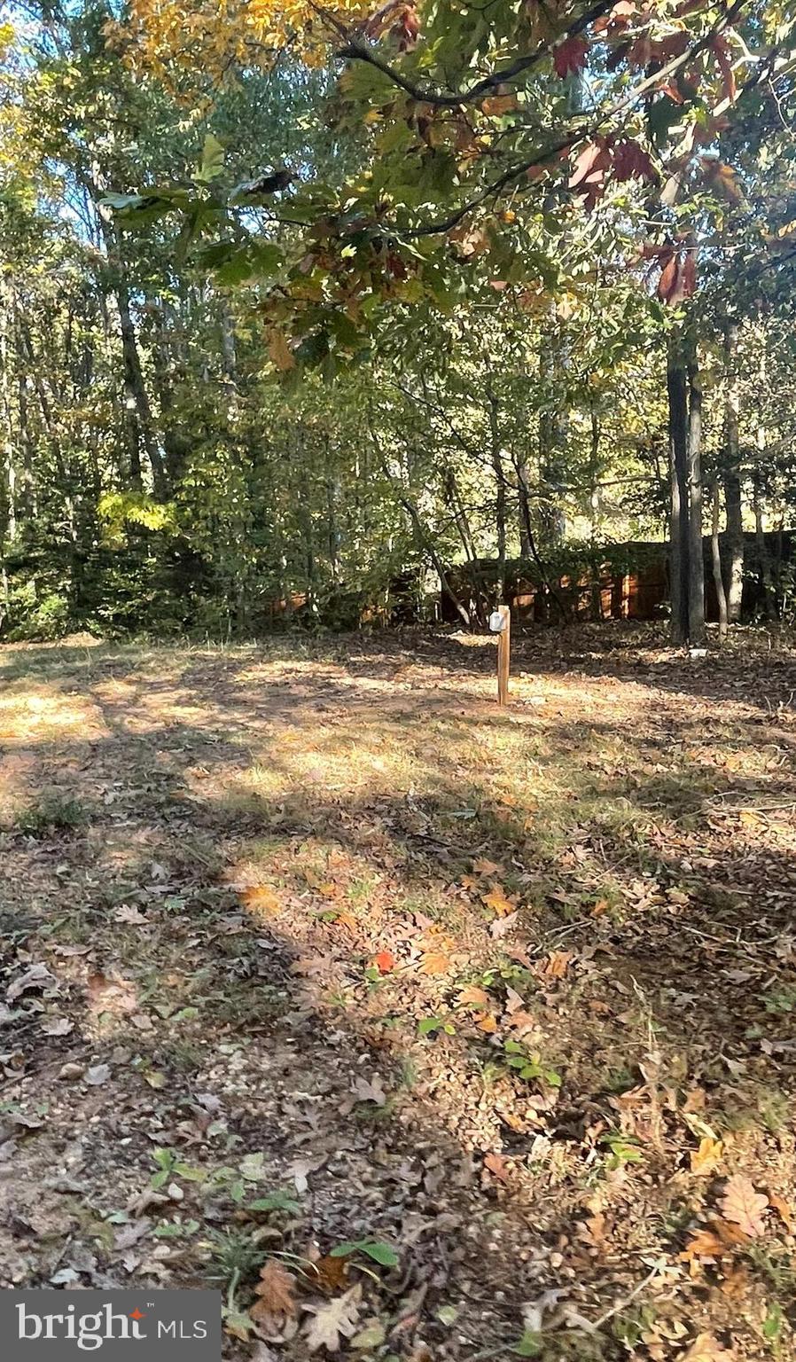 203 Lando Dr