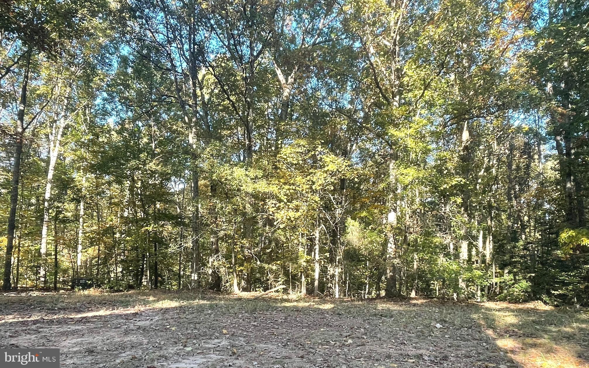 203 Lando Dr