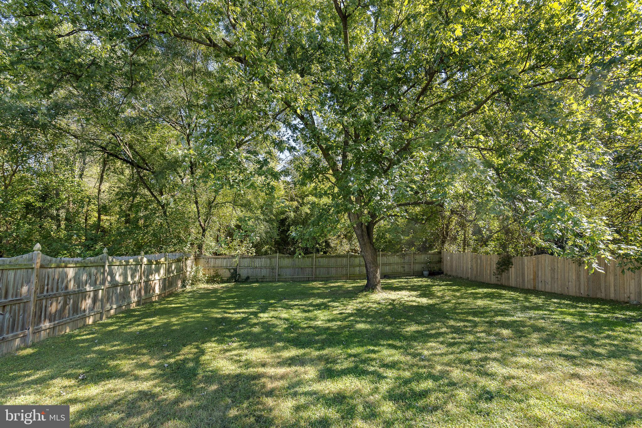 1106 Dewberry Dr