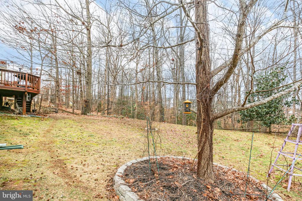 3714 Carlyle Ct