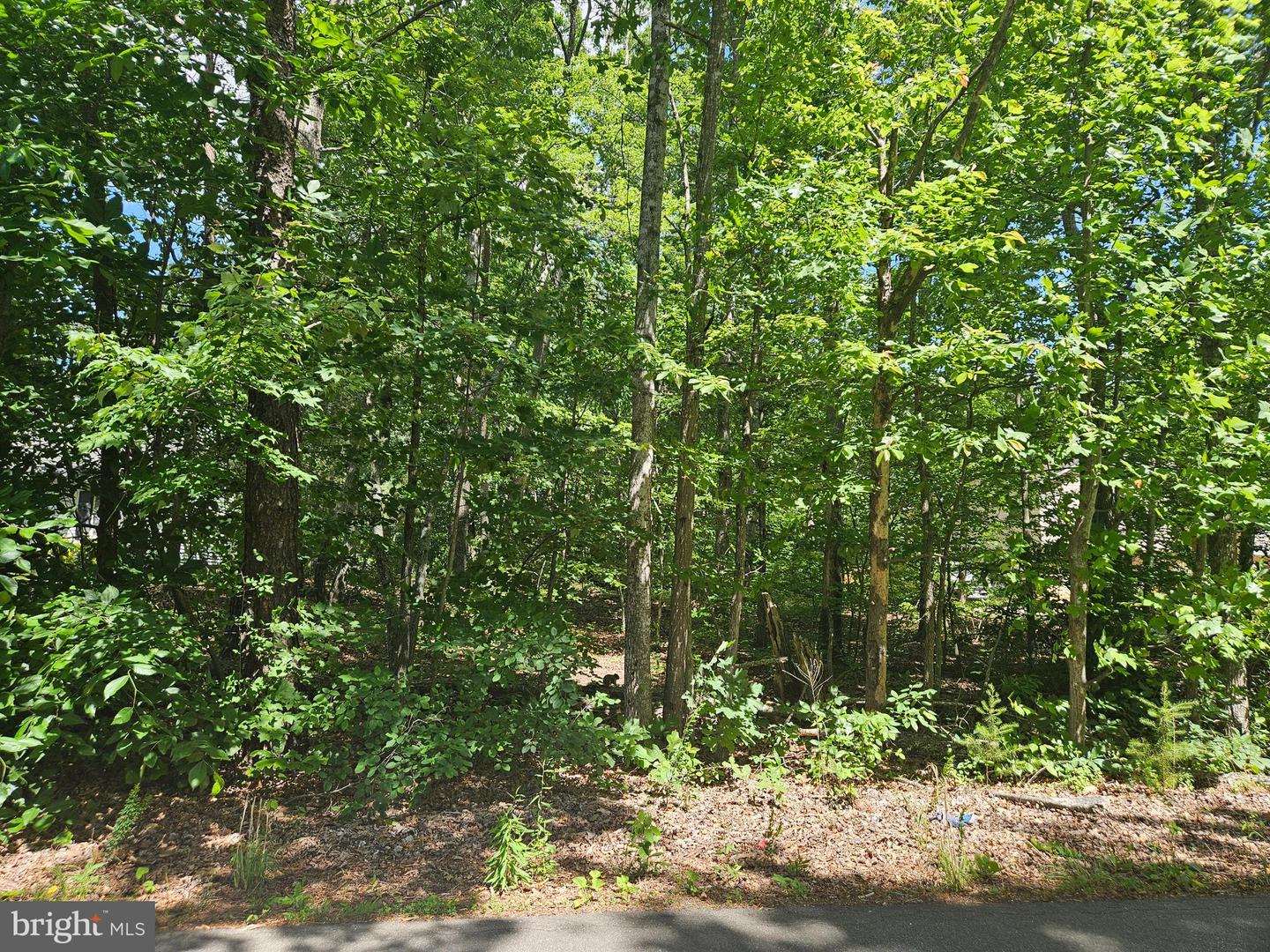 12817 Plantation Dr