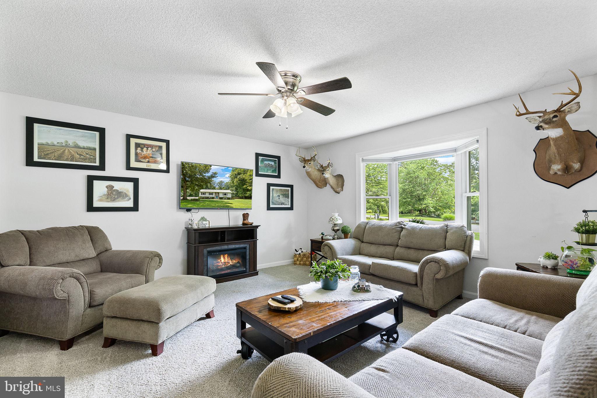 4 Palomino Ct