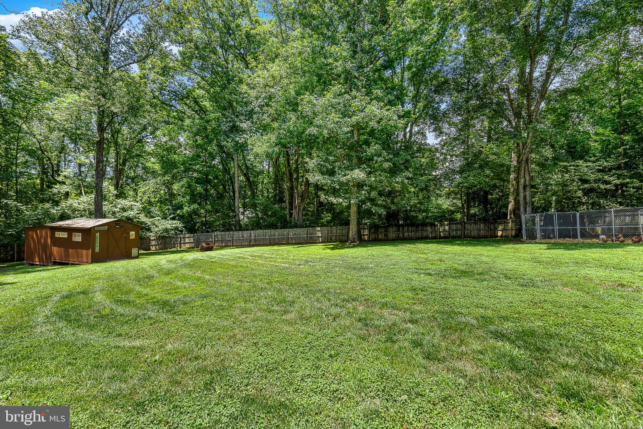 4 Palomino Ct