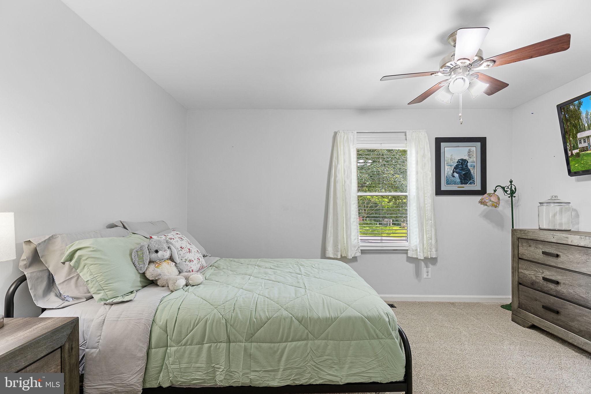 4 Palomino Ct