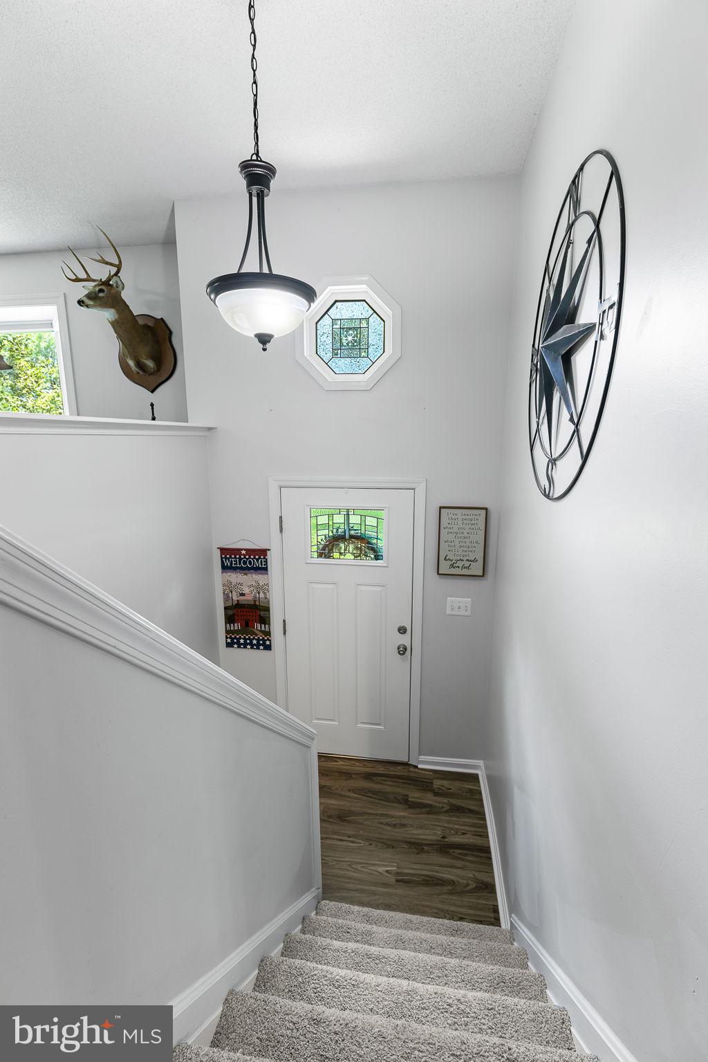 4 Palomino Ct