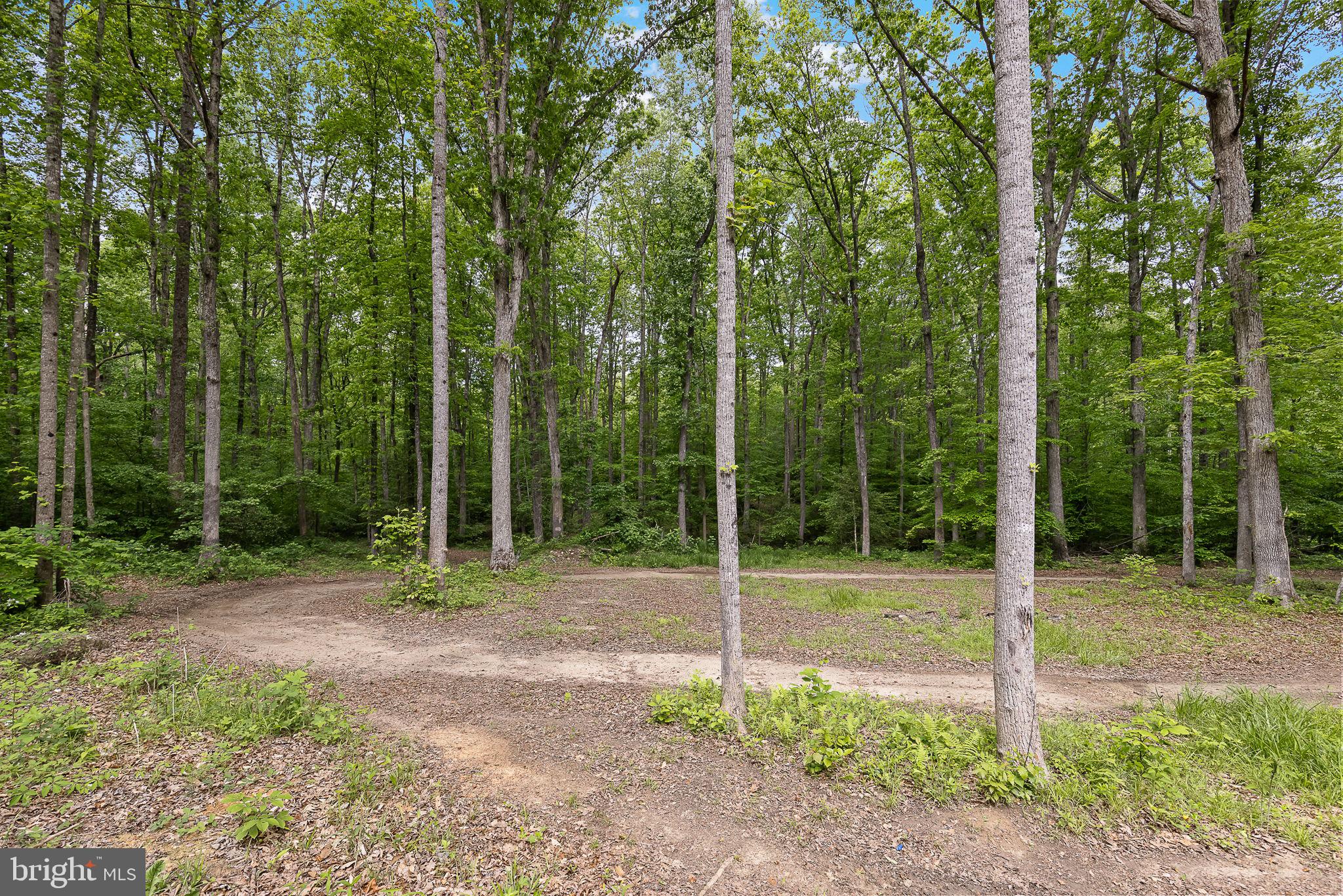 10516 Piney Branch Rd