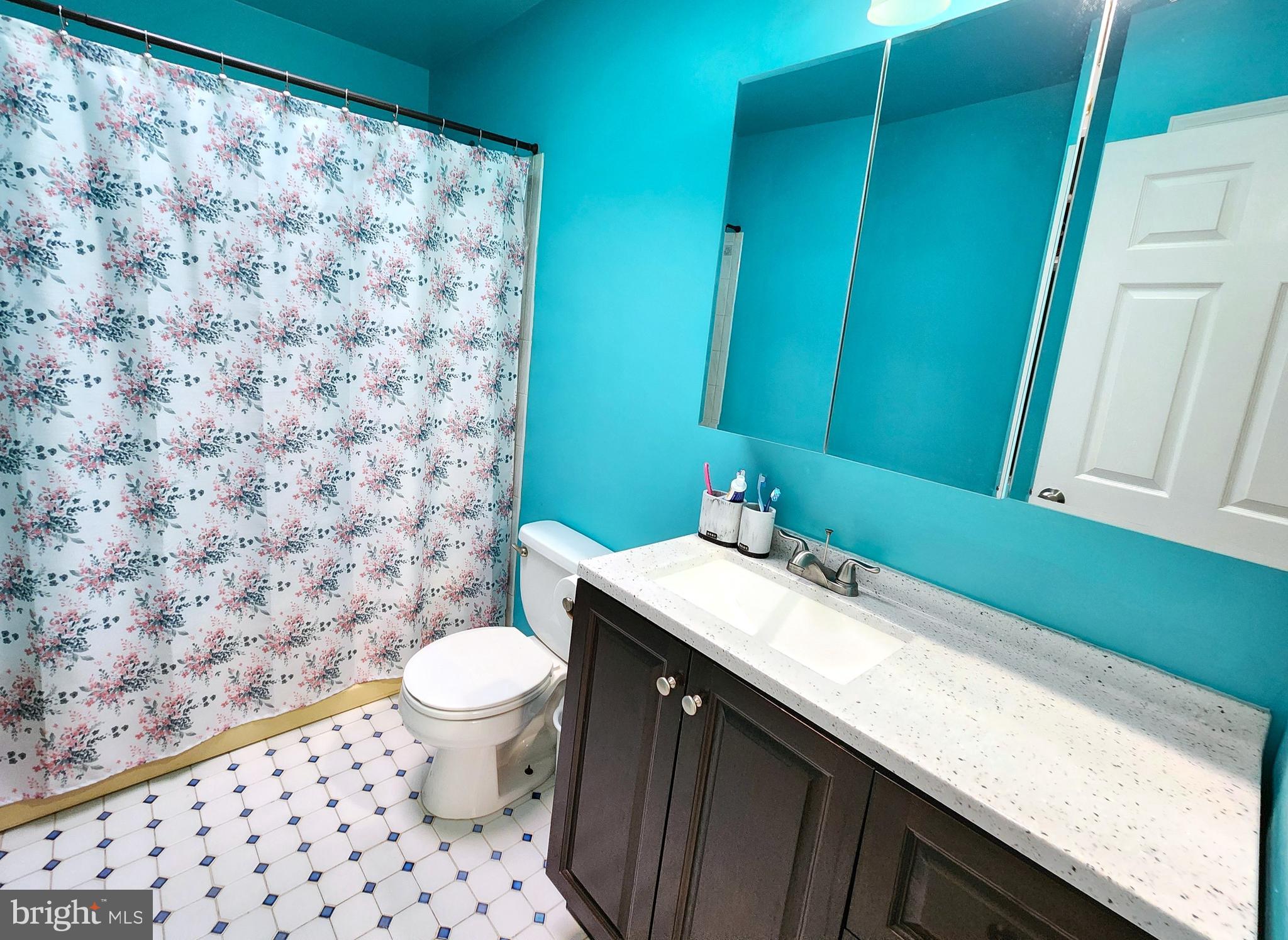 11815 SWITCHBACK LANE
