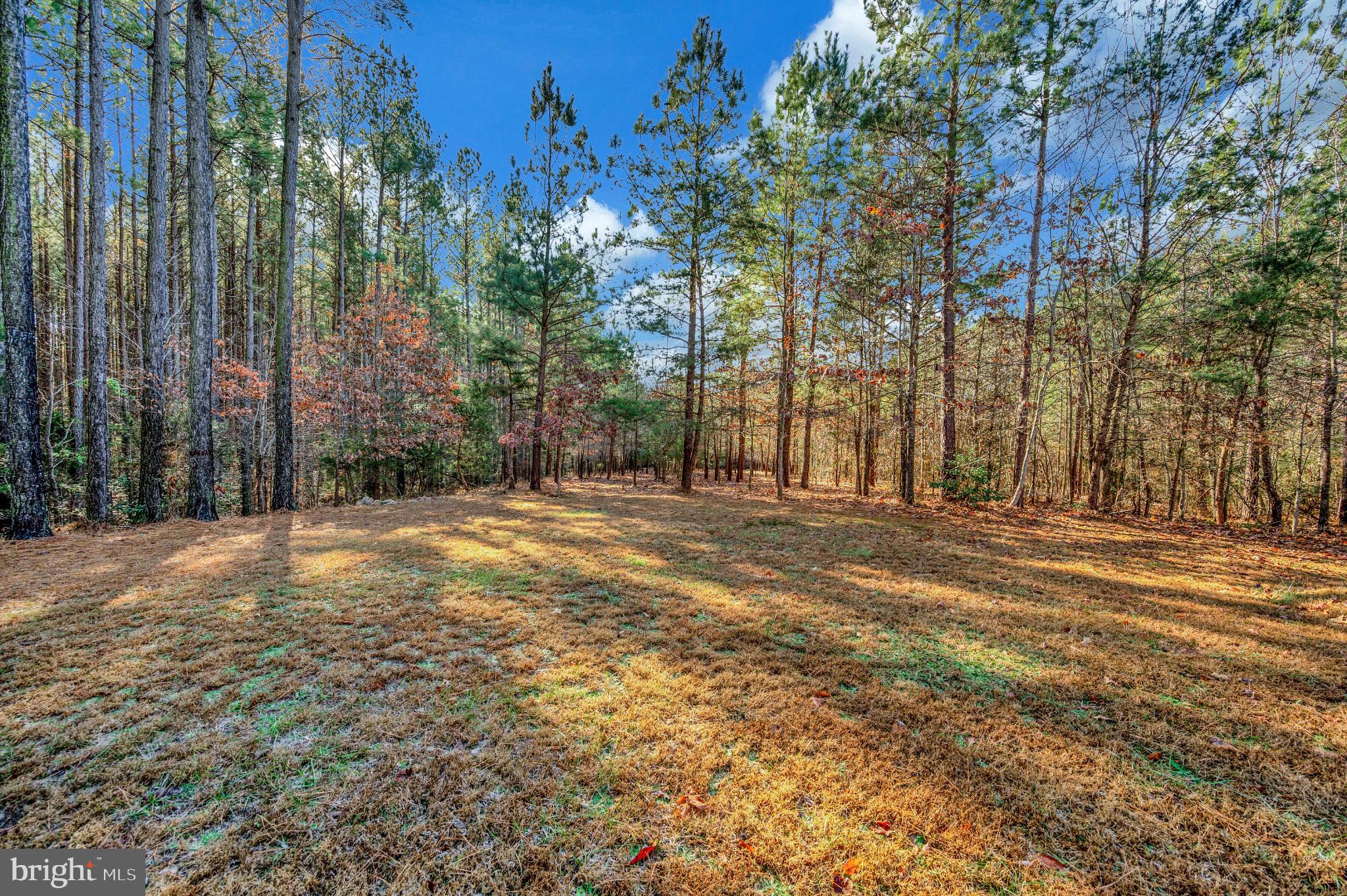 11532 TAYLOR RIDGE WAY