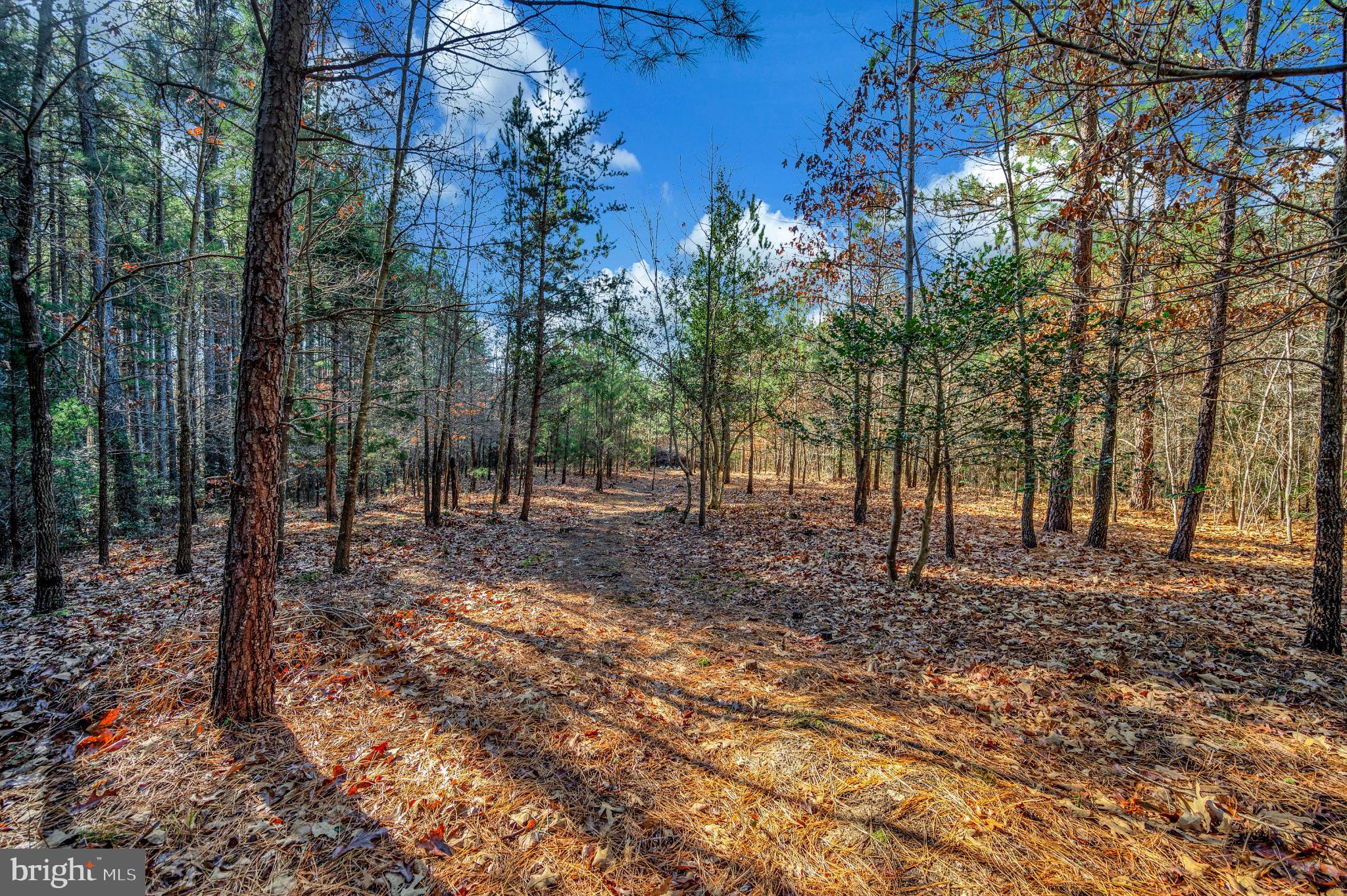 11532 TAYLOR RIDGE WAY