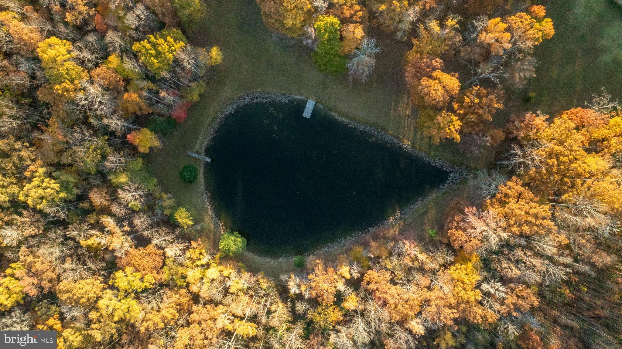 10325 MILL POND ROAD