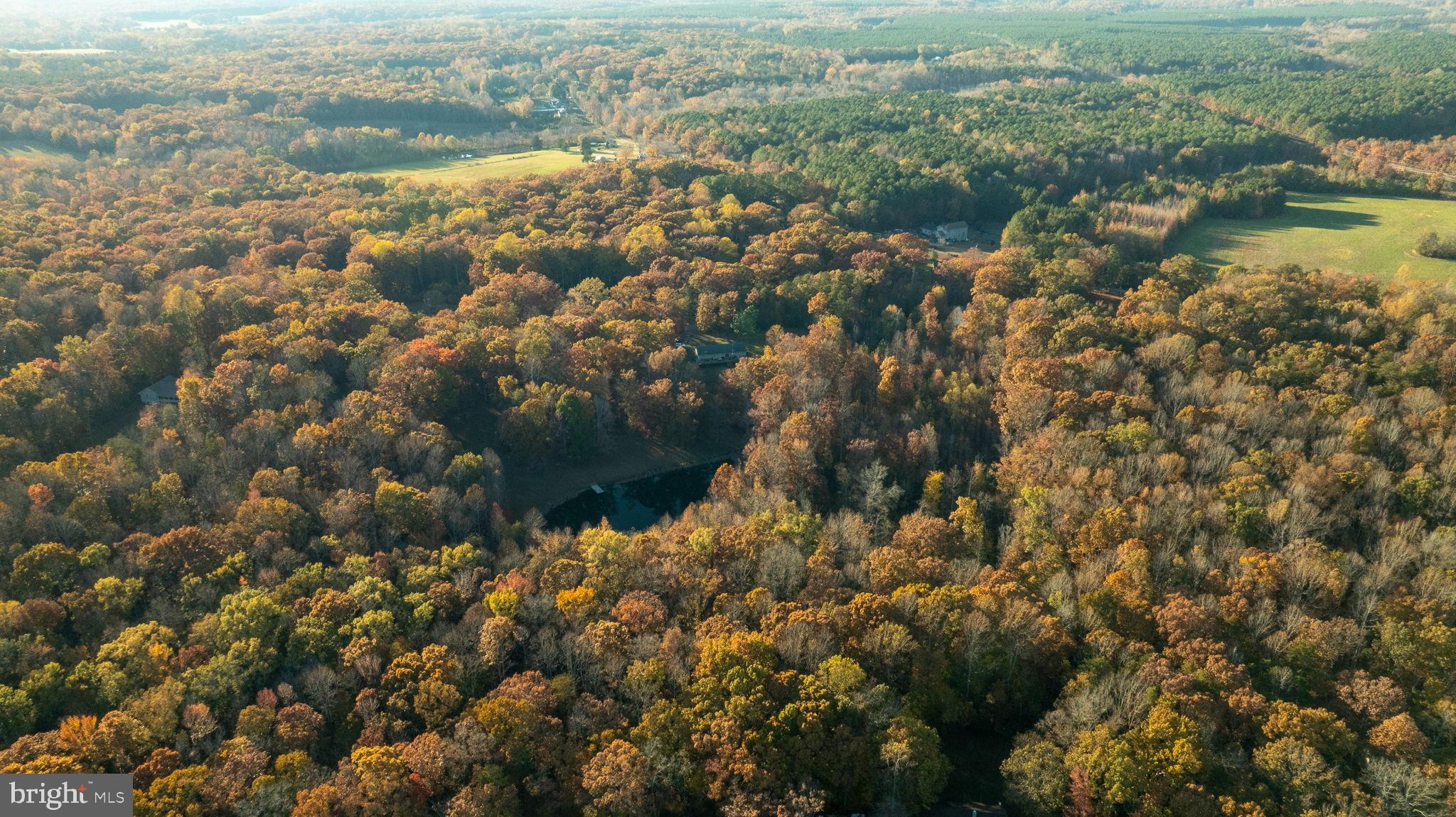 10325 MILL POND ROAD