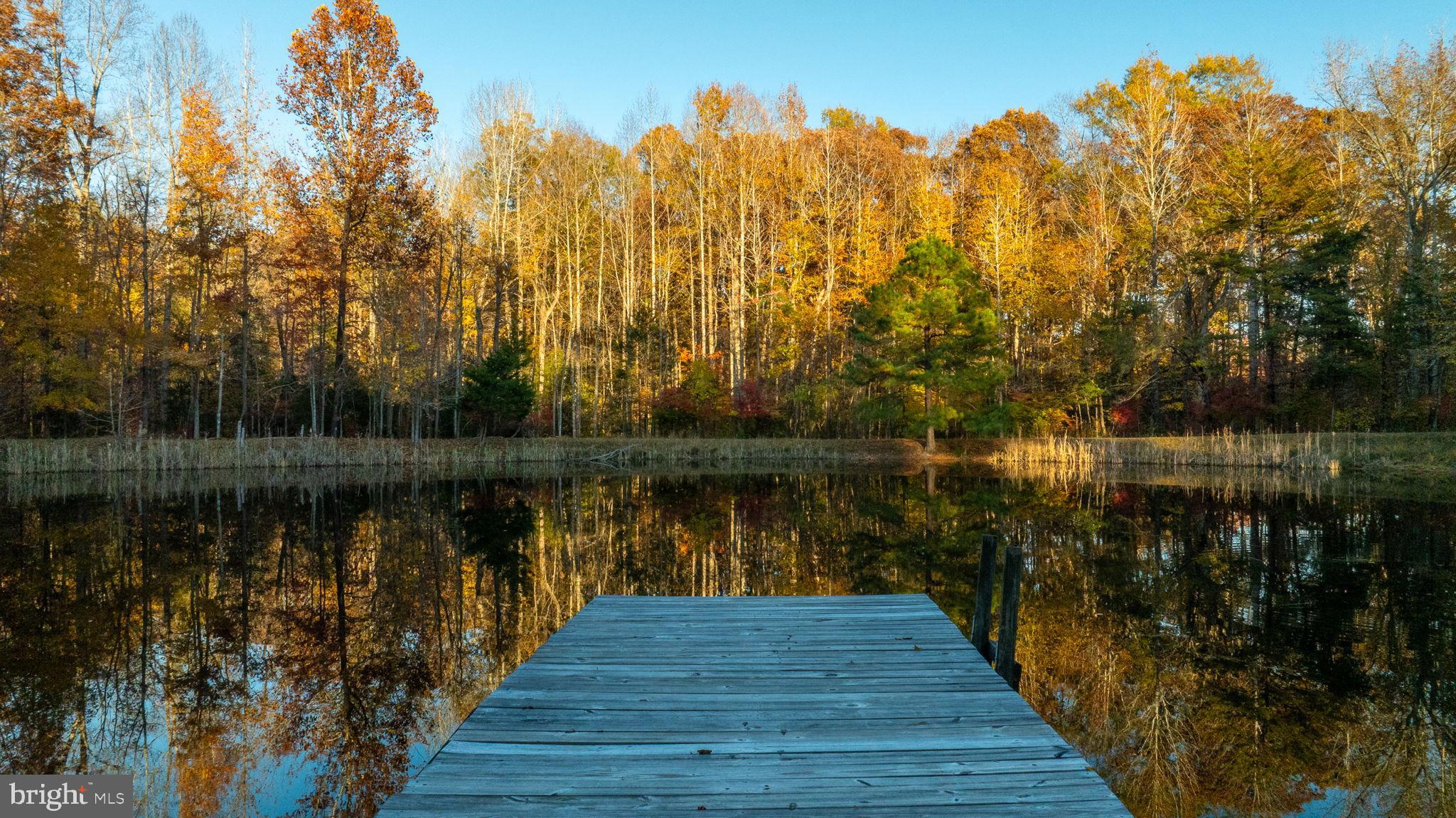 10325 MILL POND ROAD