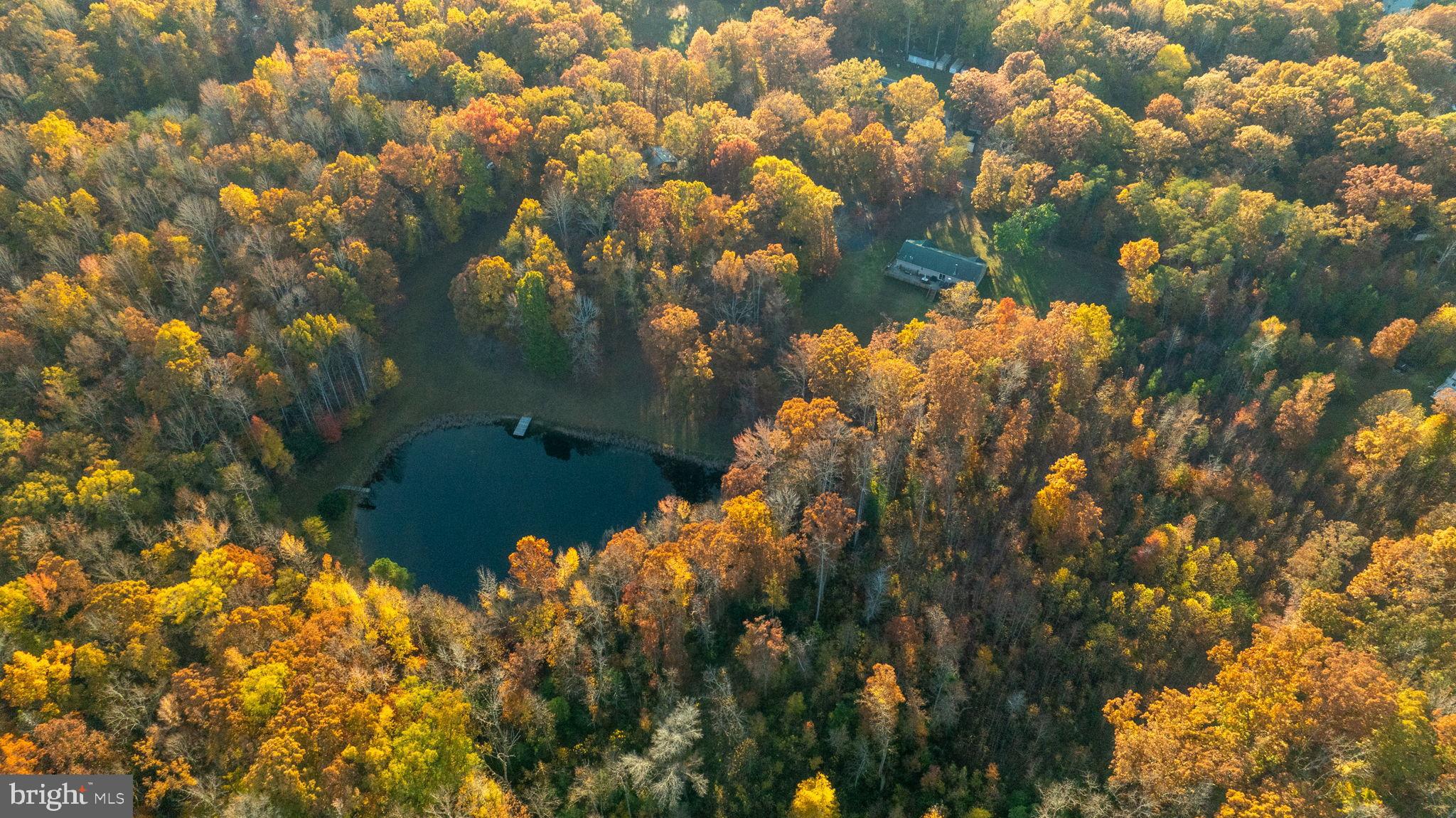 10325 MILL POND ROAD