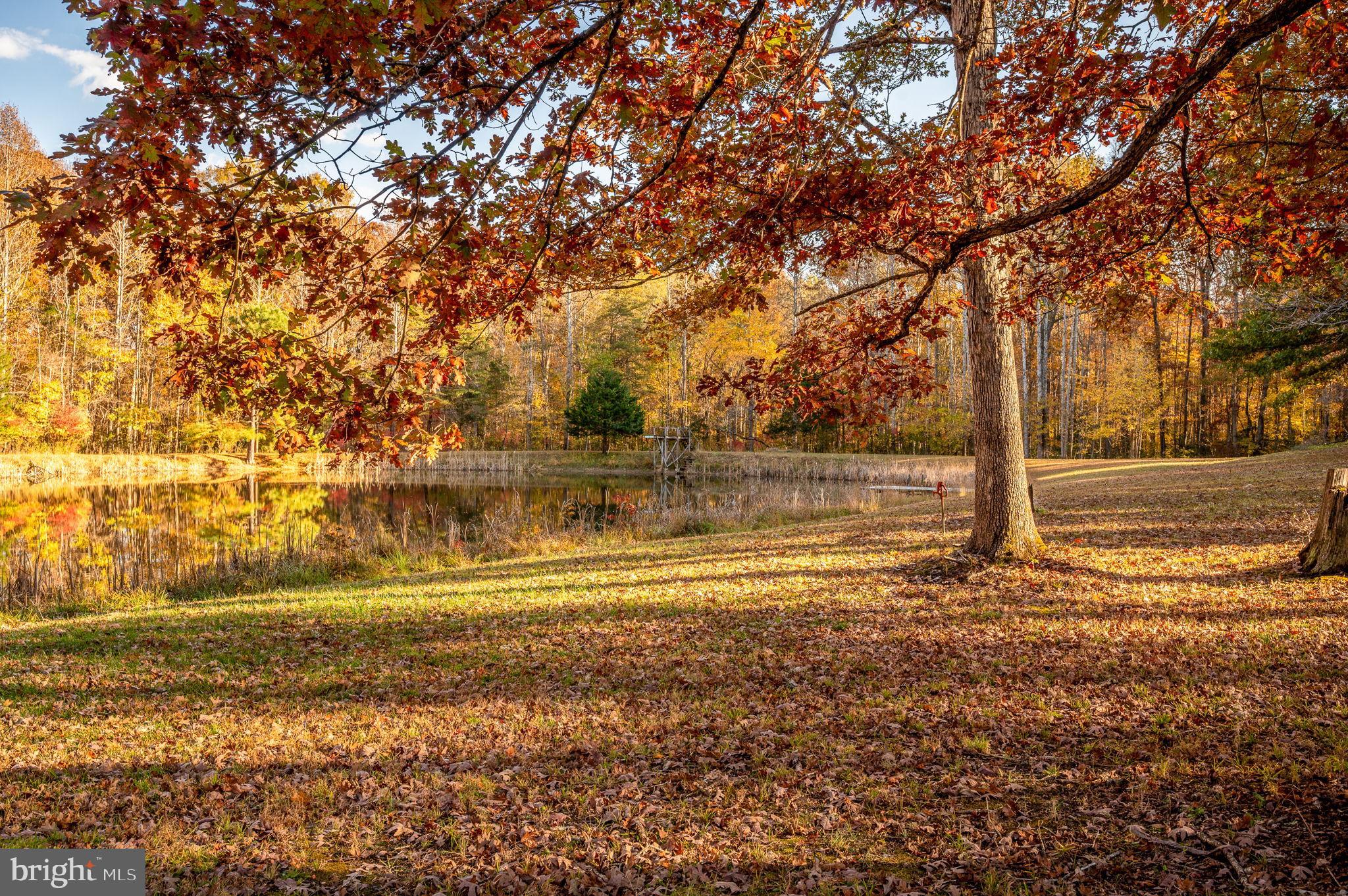 10325 MILL POND ROAD