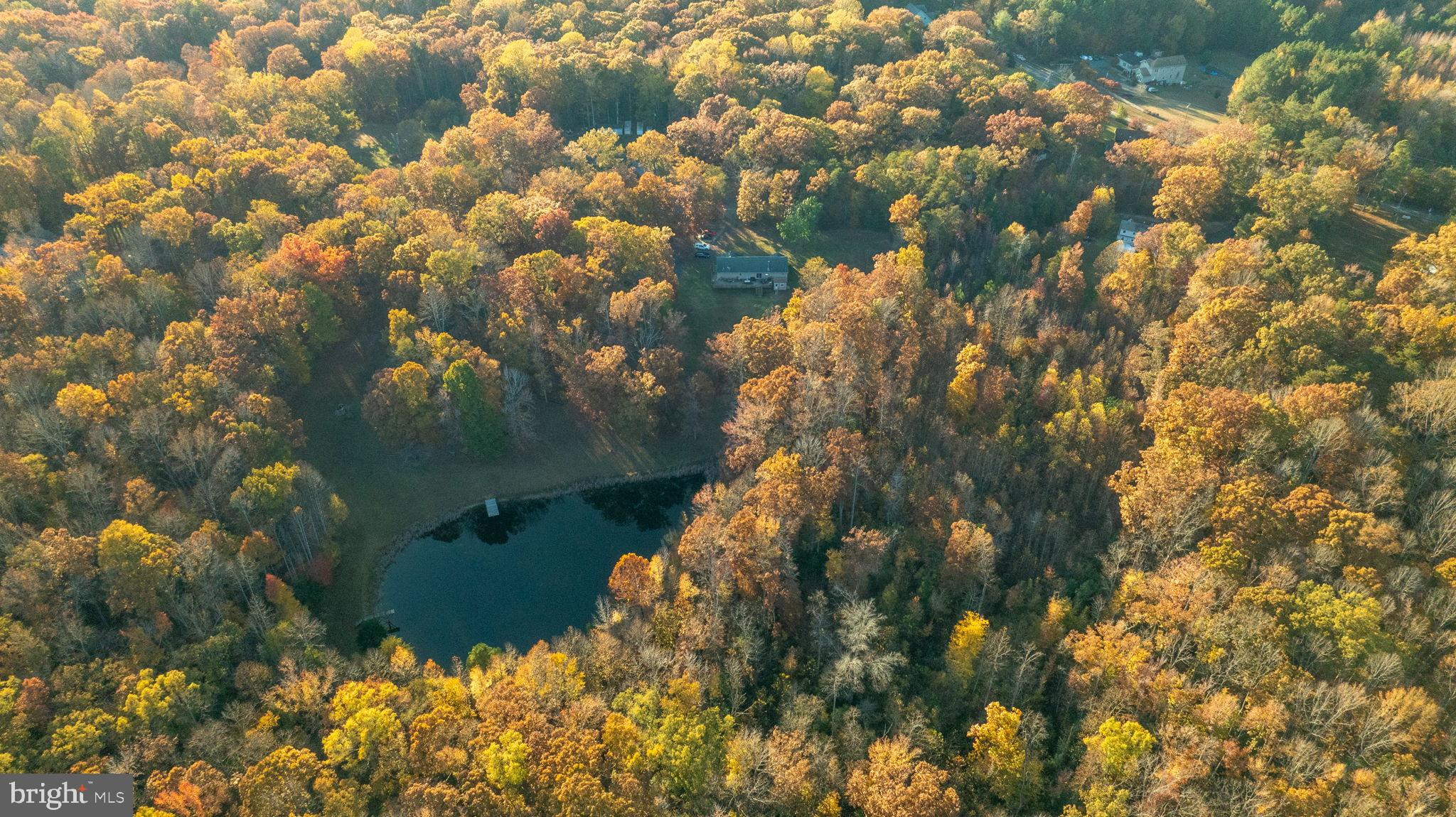 10325 MILL POND ROAD