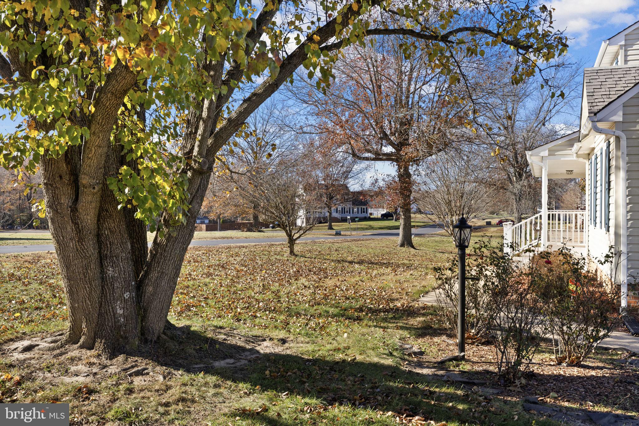 7909 WESTBURY MANOR DRIVE