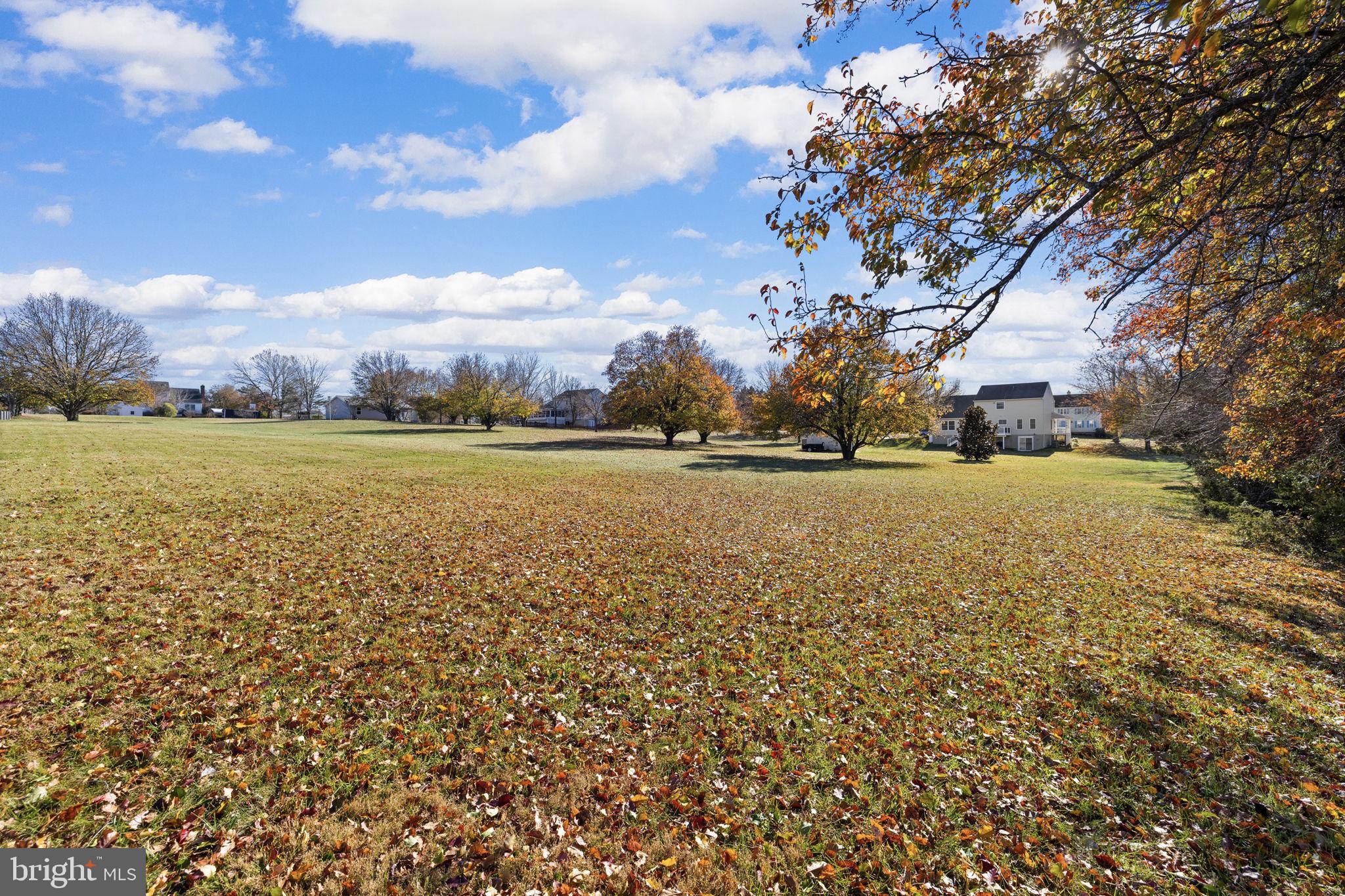 7909 WESTBURY MANOR DRIVE