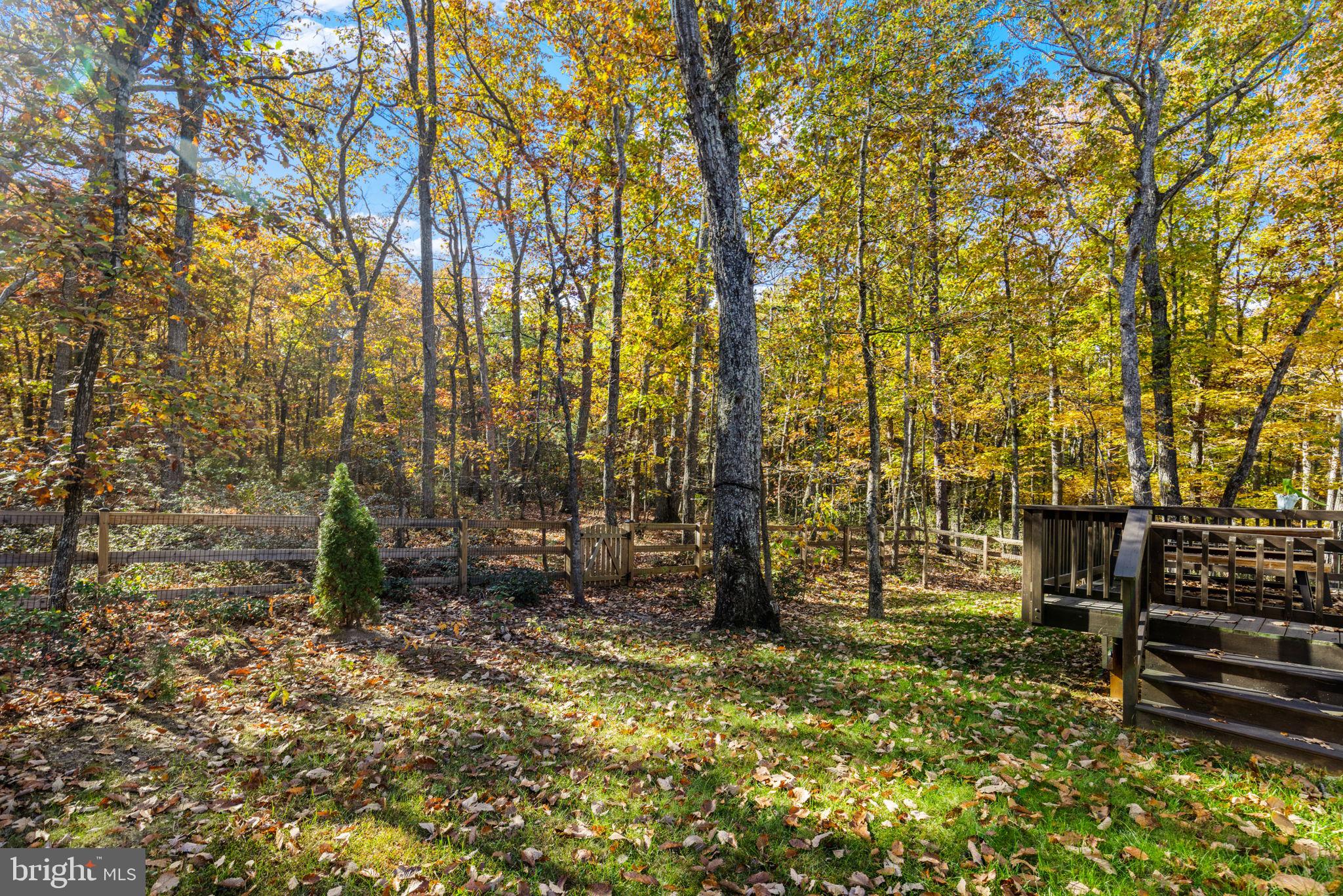 12611 WILDERNESS PARK DRIVE