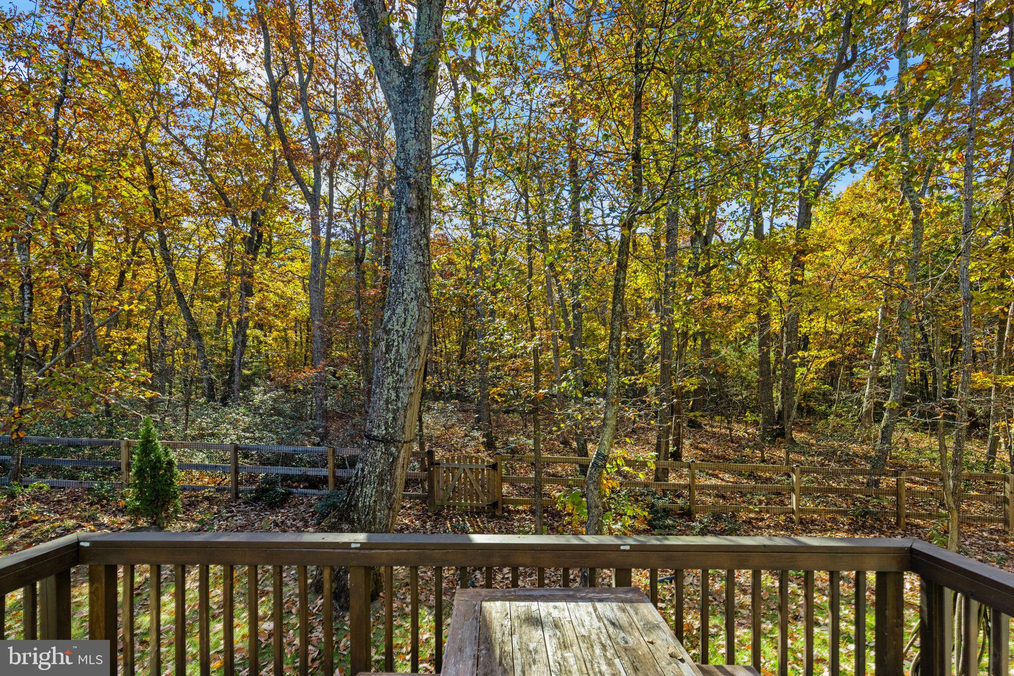 12611 WILDERNESS PARK DRIVE