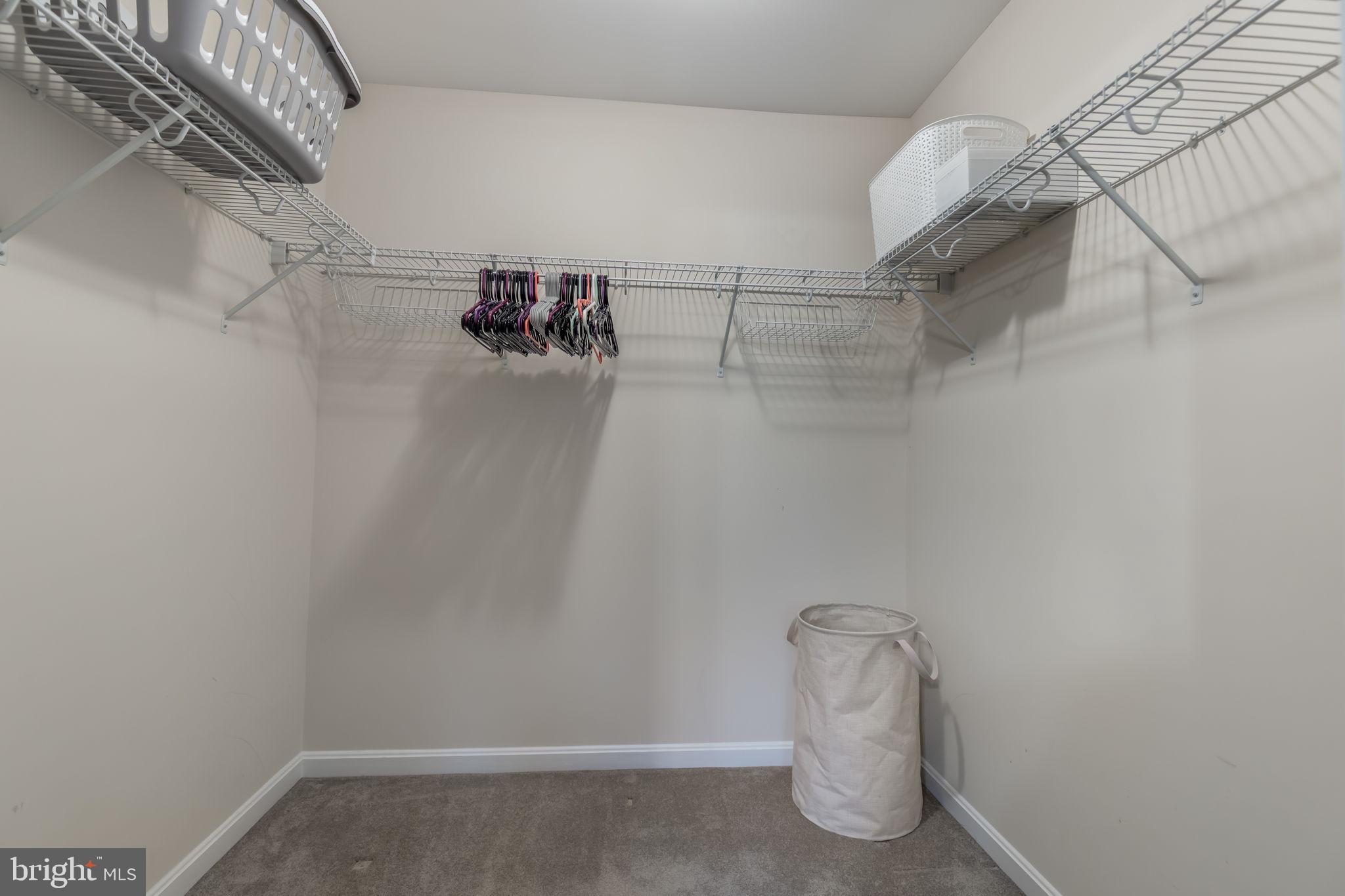 12611 WILDERNESS PARK DRIVE