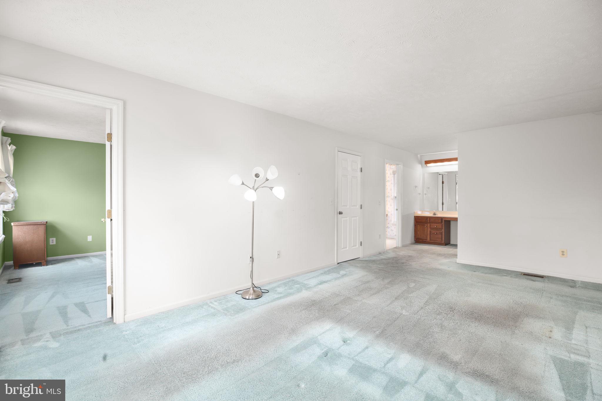 11210 SPRINGFIELD DRIVE