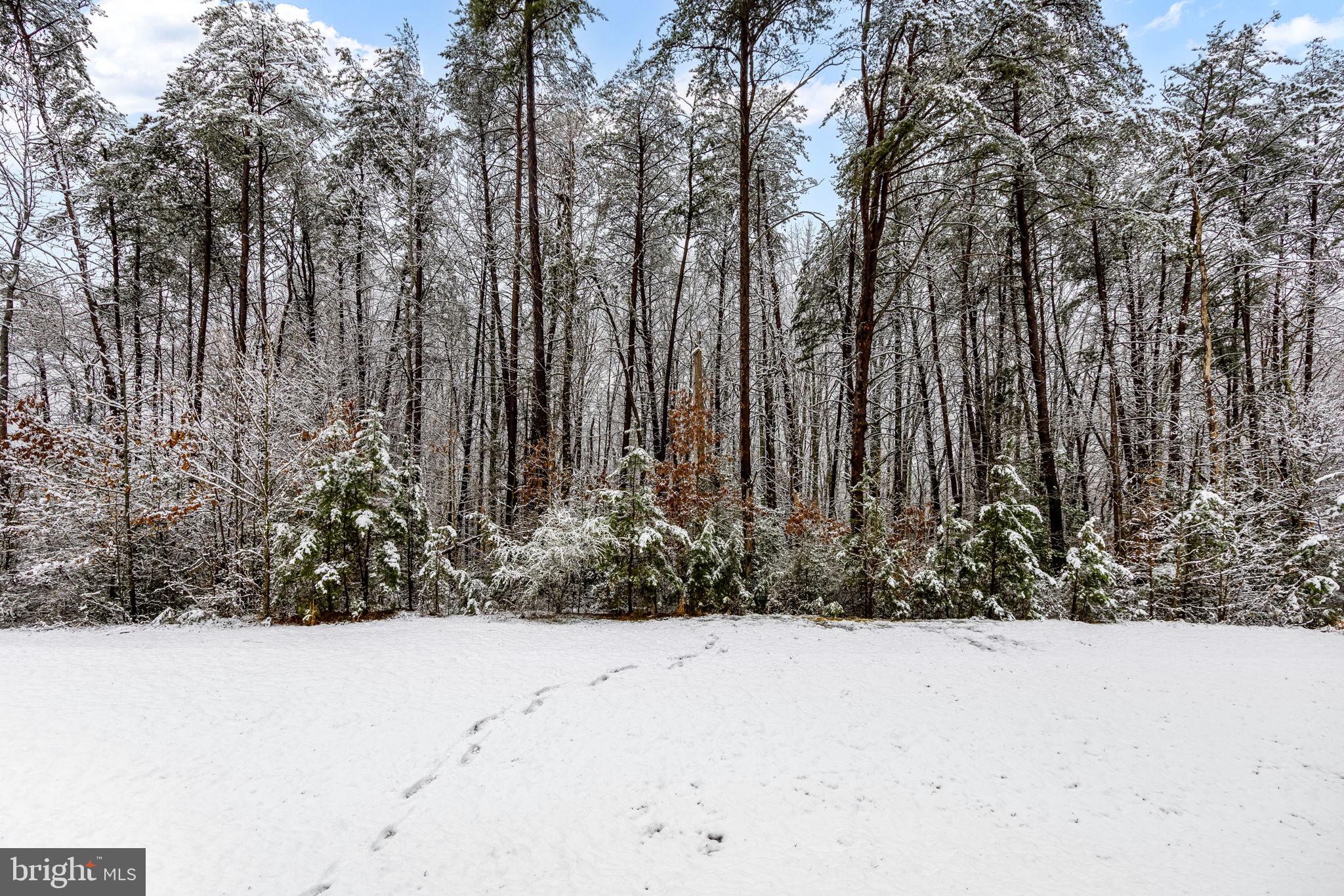 6516 CRITTENDEN LANE