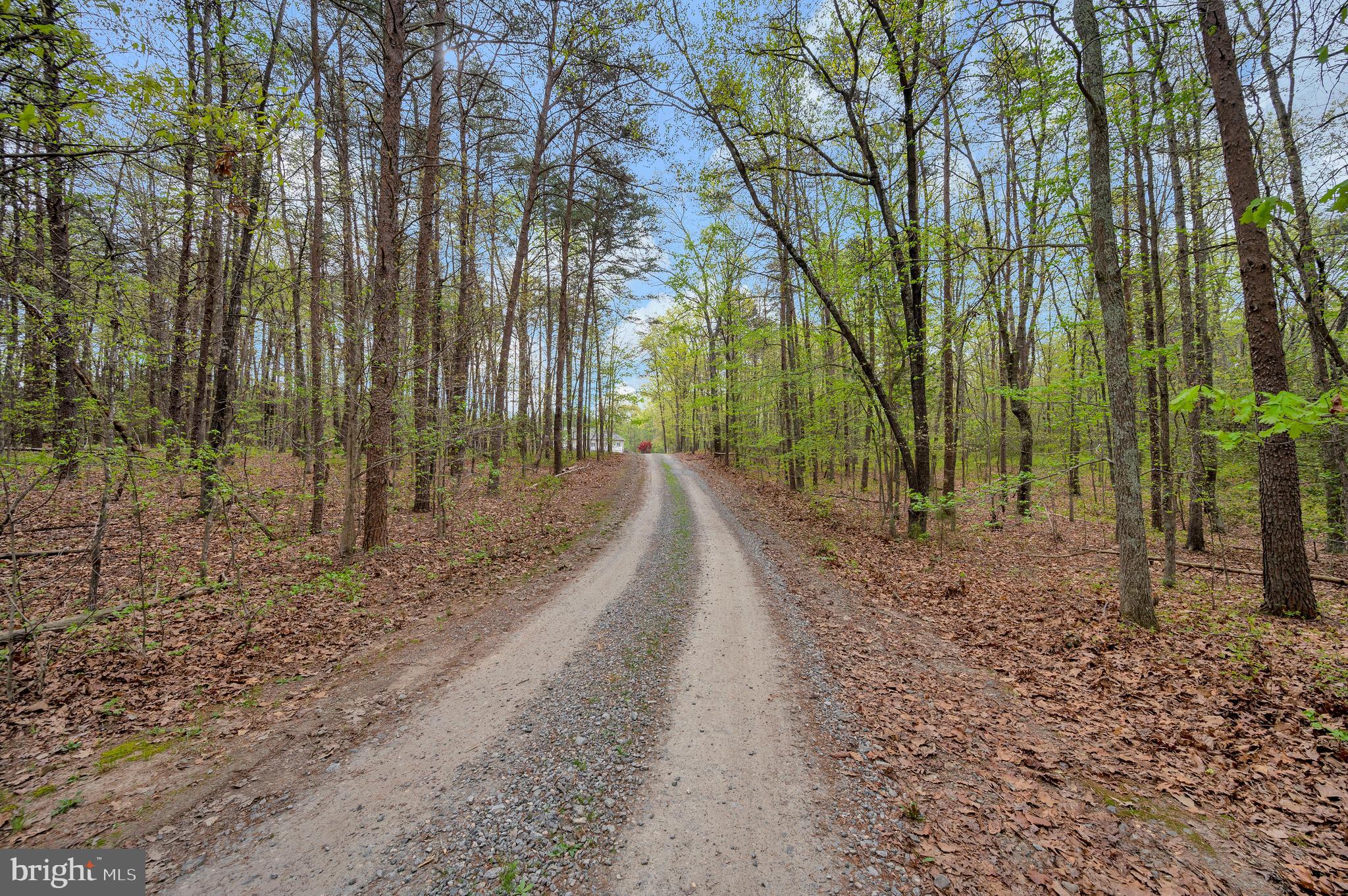 11326 WHEELER ROAD