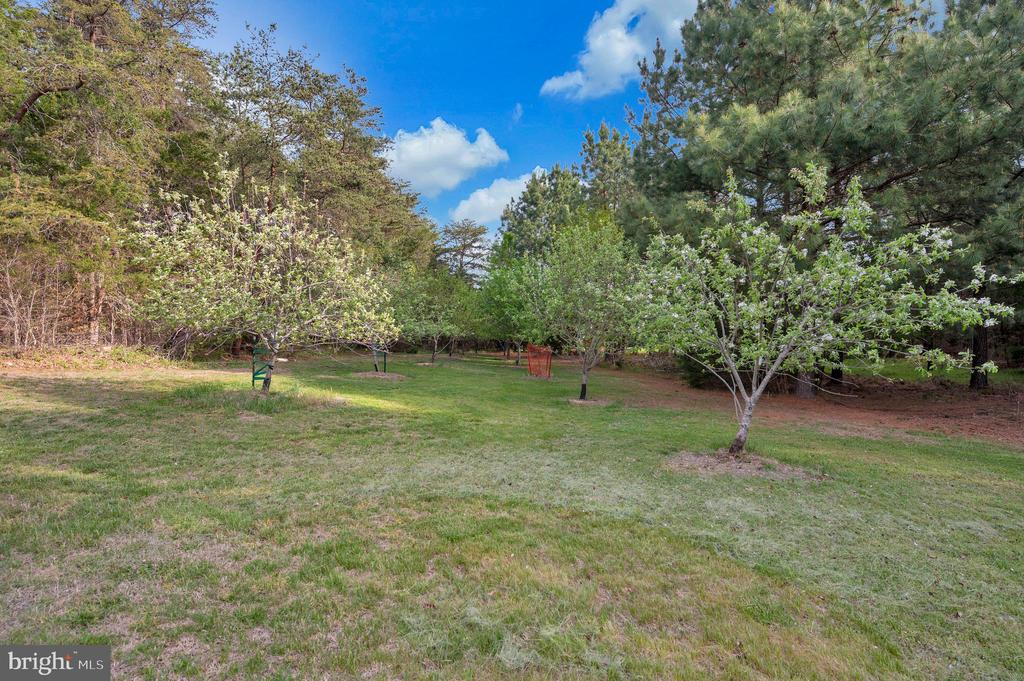 11326 WHEELER ROAD