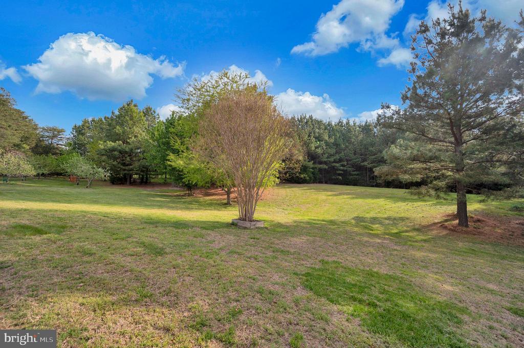 11326 WHEELER ROAD