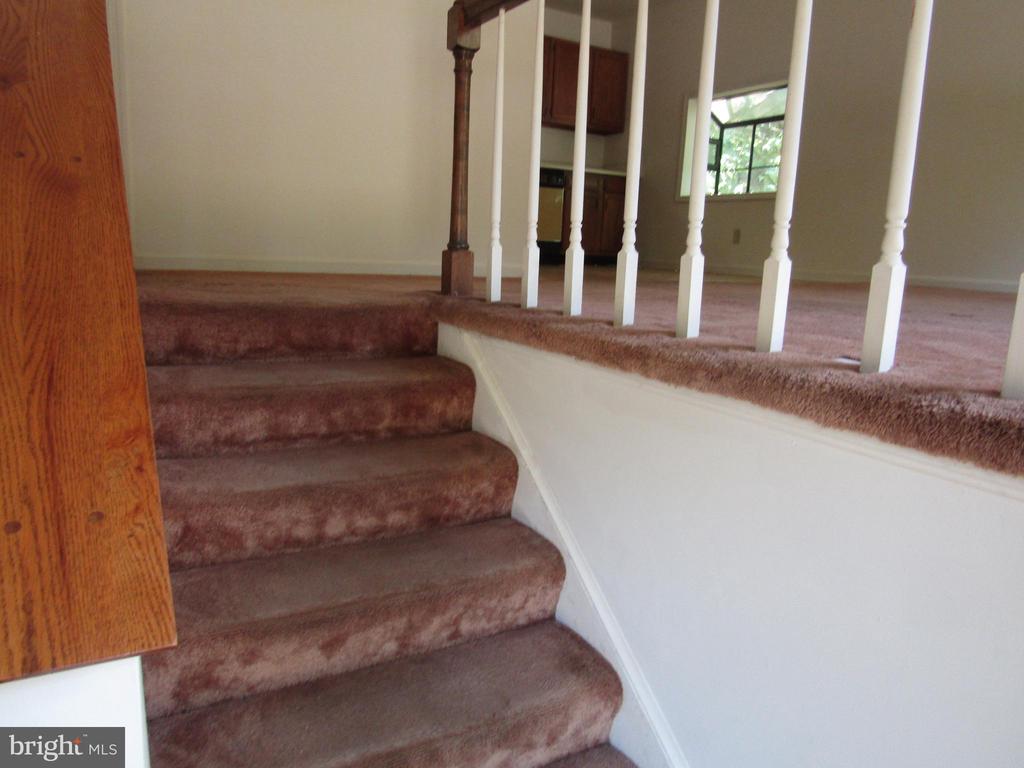 418 CLEVELAND COURT