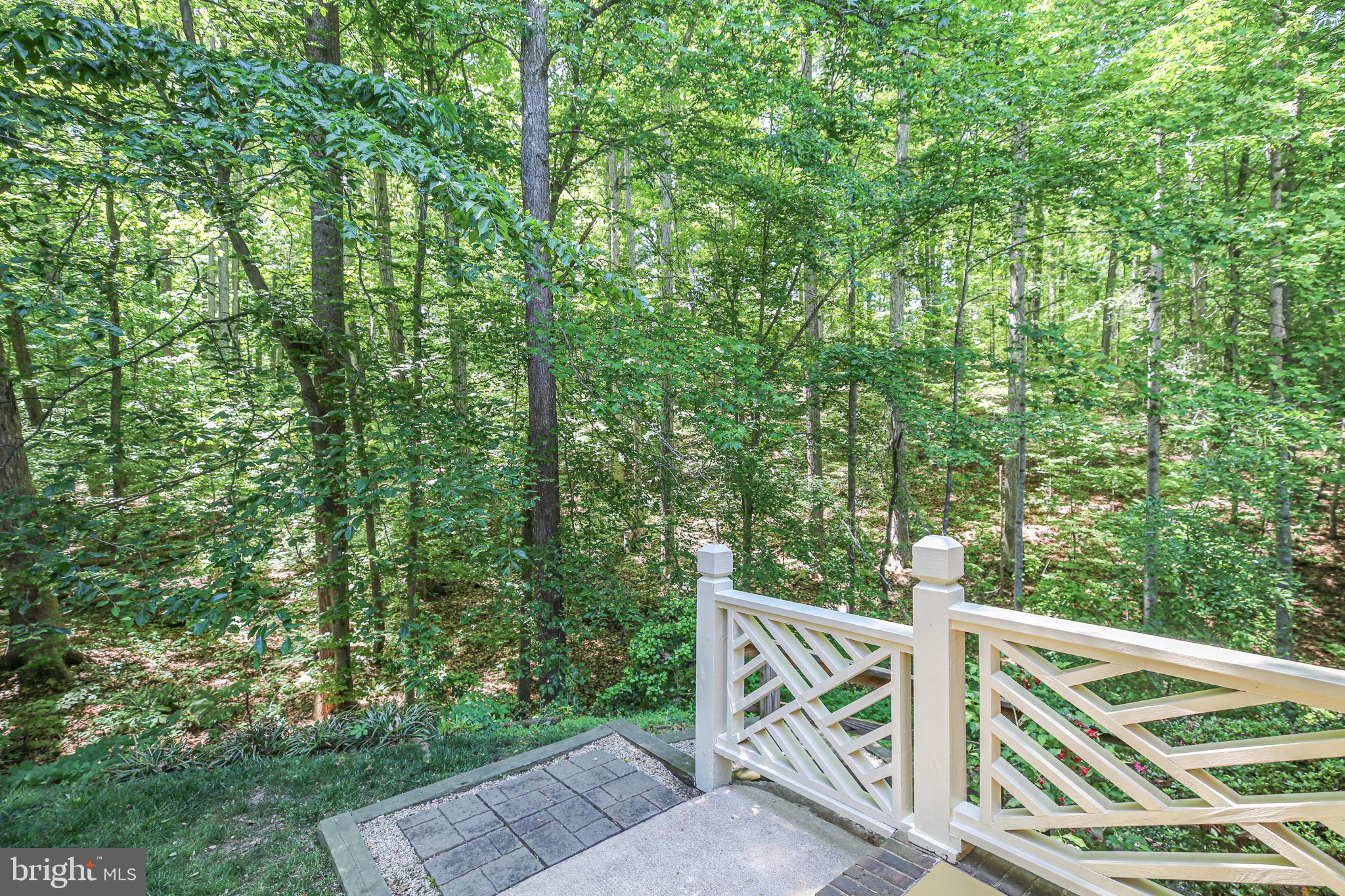 10102 BLANDFIELD LANE