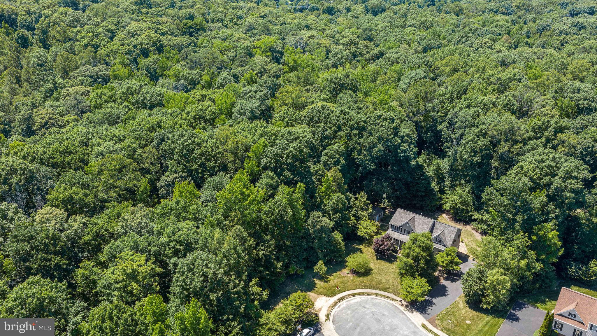 11203 LYNETTE COURT