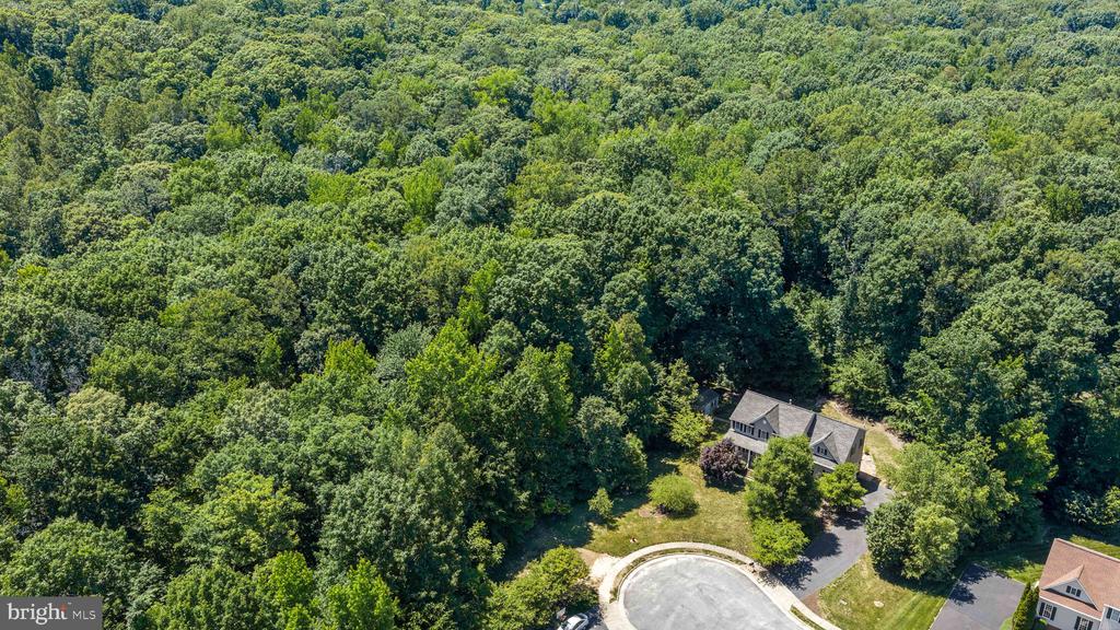 11203 LYNETTE COURT