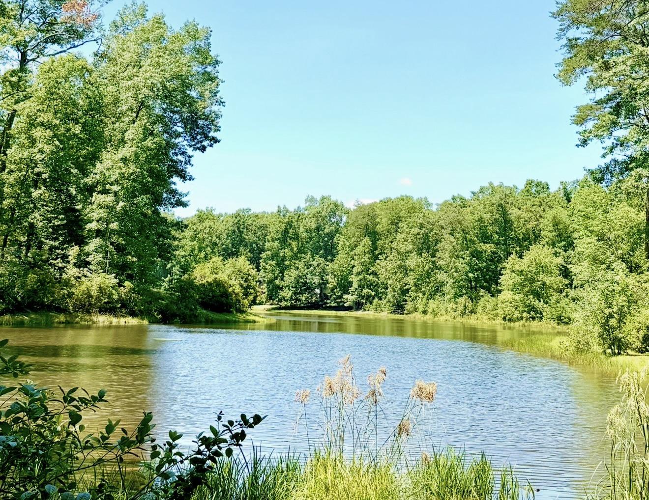 12308 CATHARINES FURNACE COURT