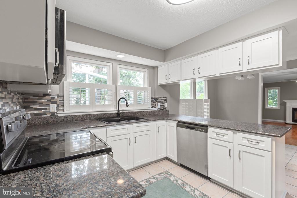 11209 SPRINGFIELD DRIVE