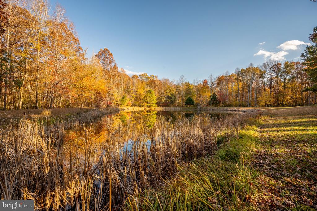 10325 MILL POND ROAD