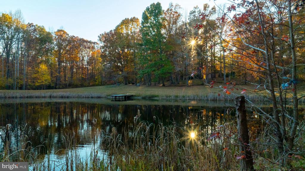 10325 MILL POND ROAD