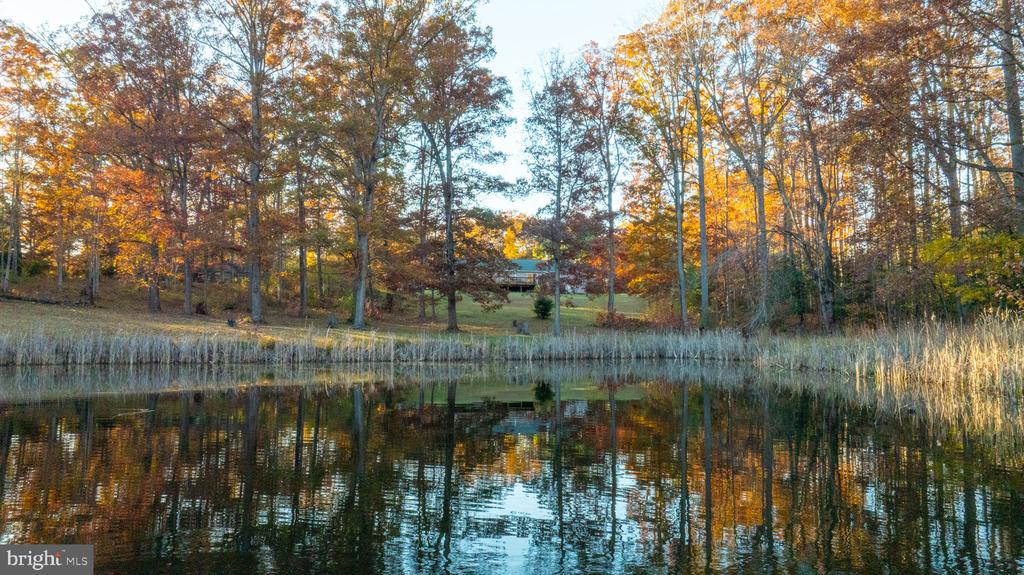 10325 MILL POND ROAD