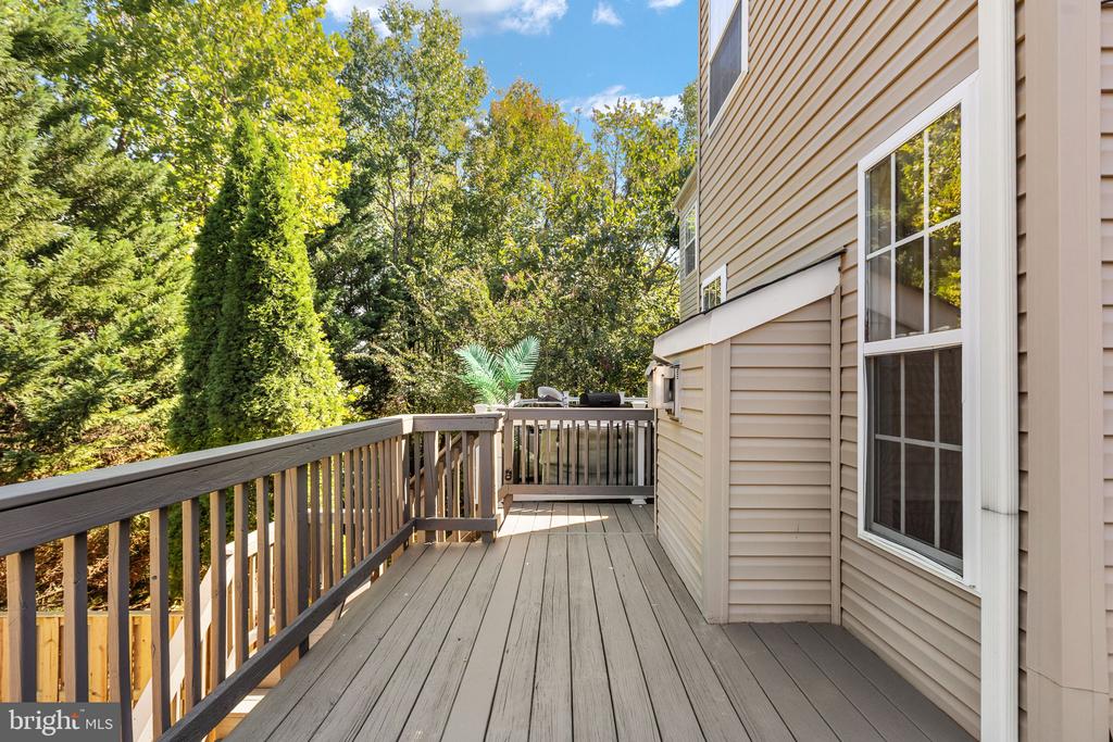 11203 GANDER COURT