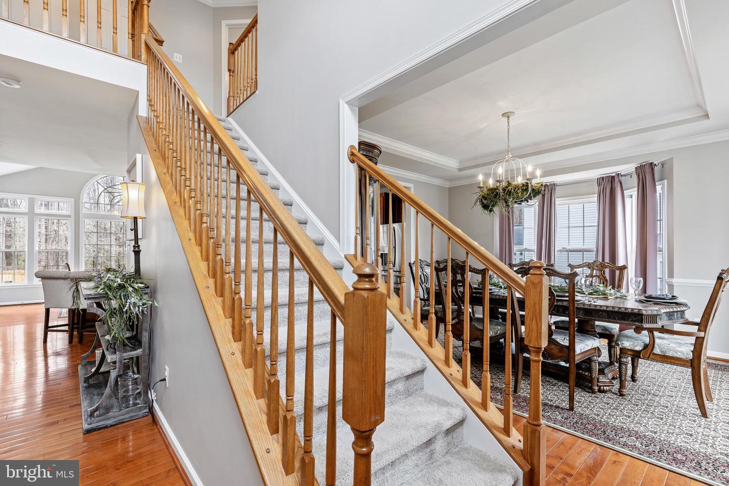 44 Nugent DRIVE