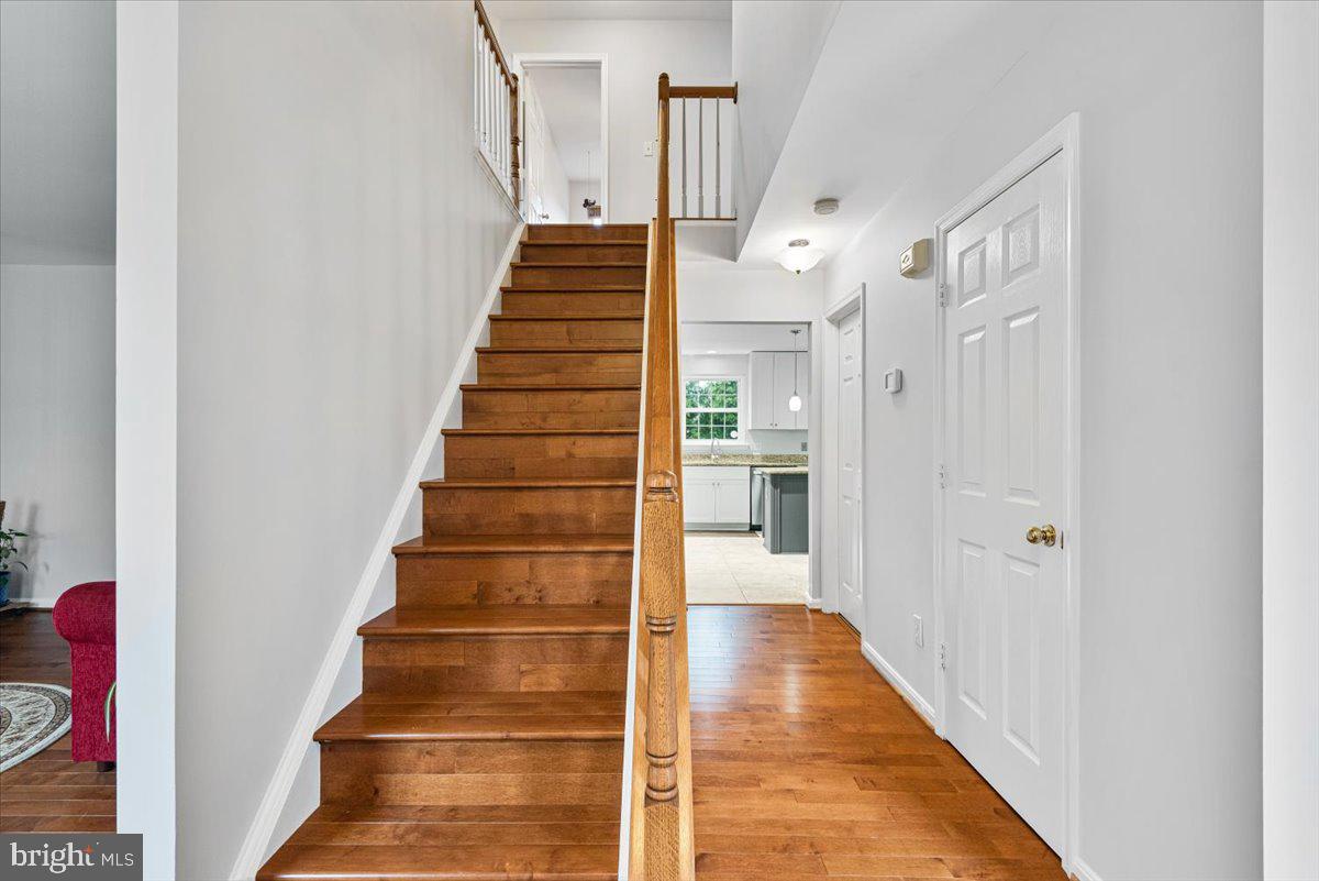 8 New Brunswick COURT
