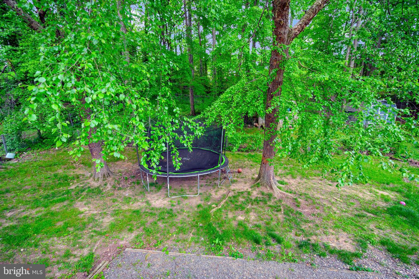 212 Tanglewood LANE