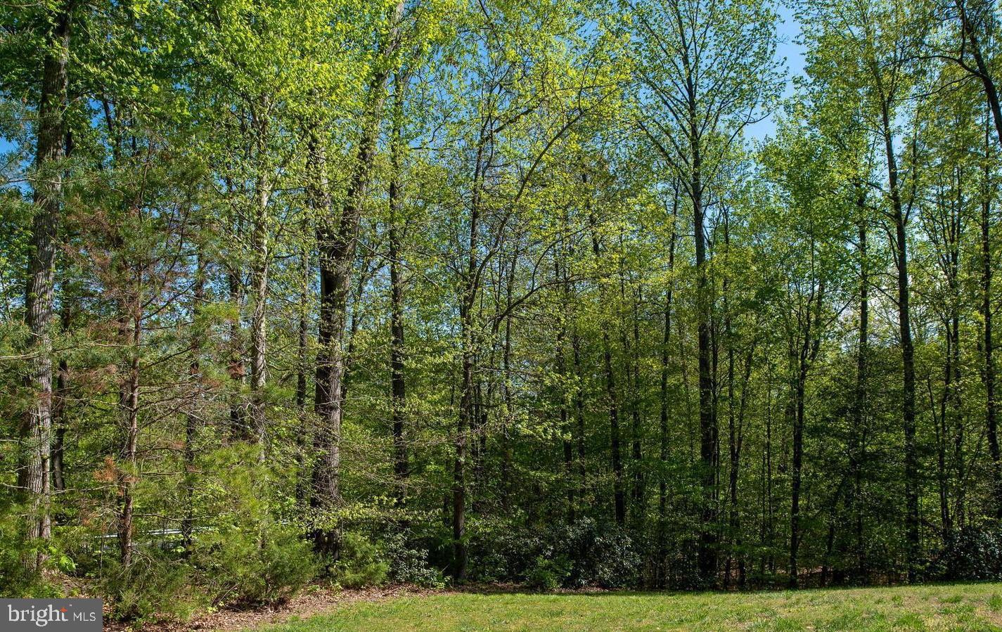 79 Brookesmill LANE