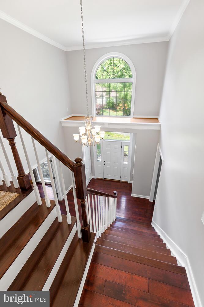 45 Lightfoot DRIVE