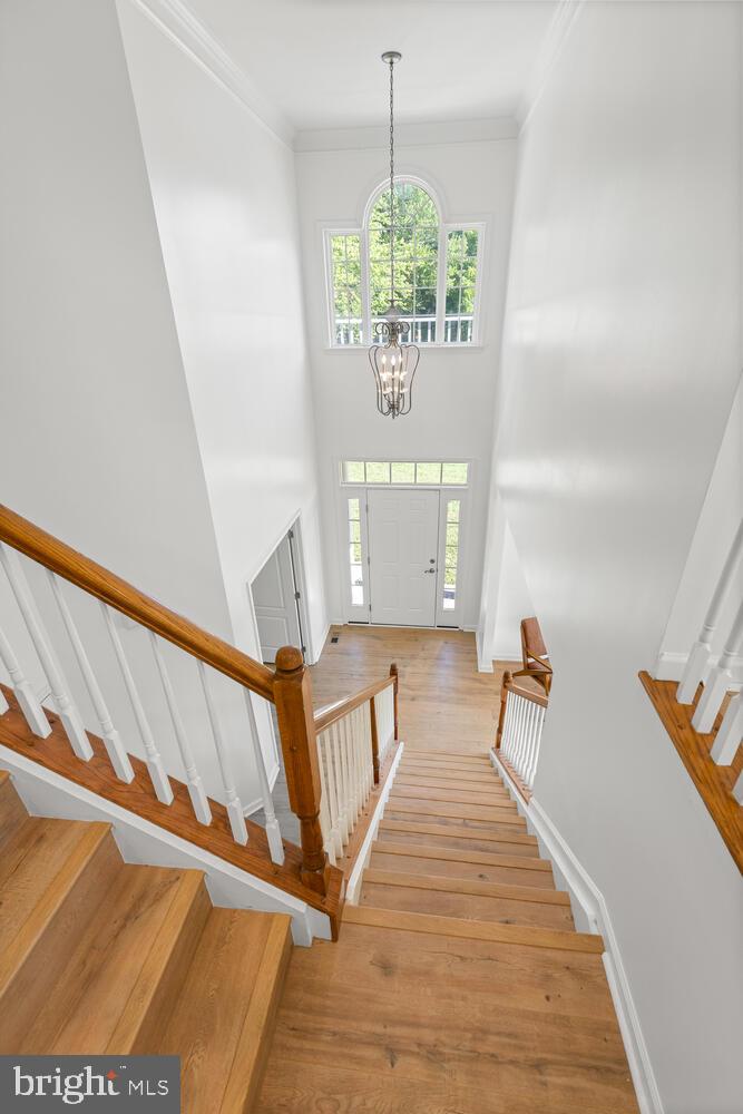 51 Janney LANE