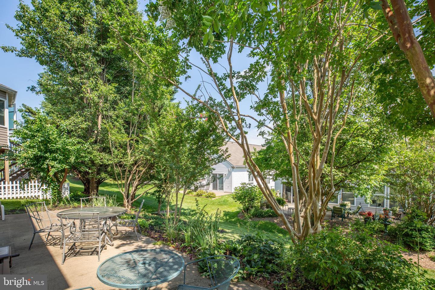 17 Buchanan COURT